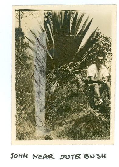 Gal13