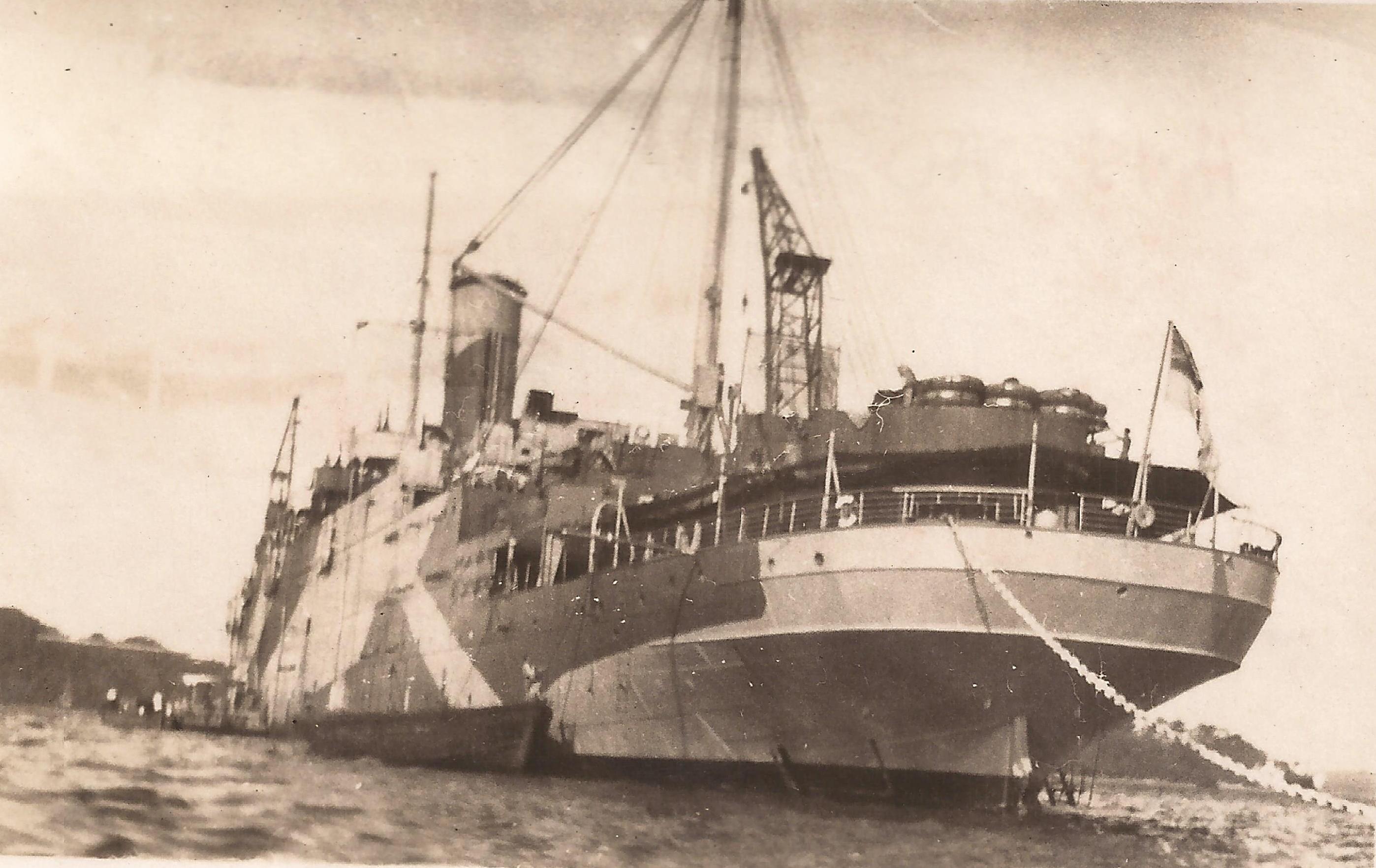 Unknown 29