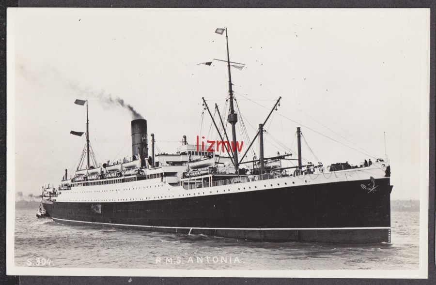Antonia post 4
