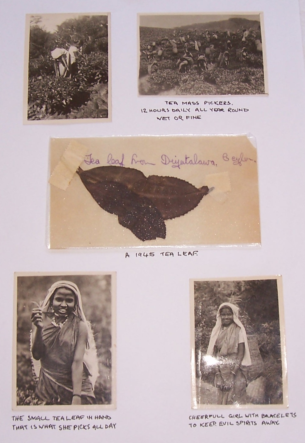 Archival photograph — description pending review