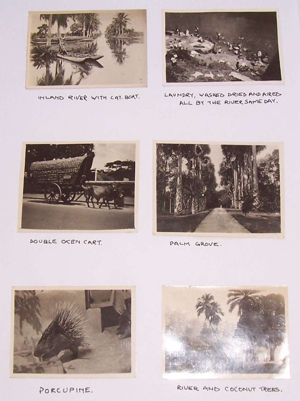 Archival photograph — description pending review