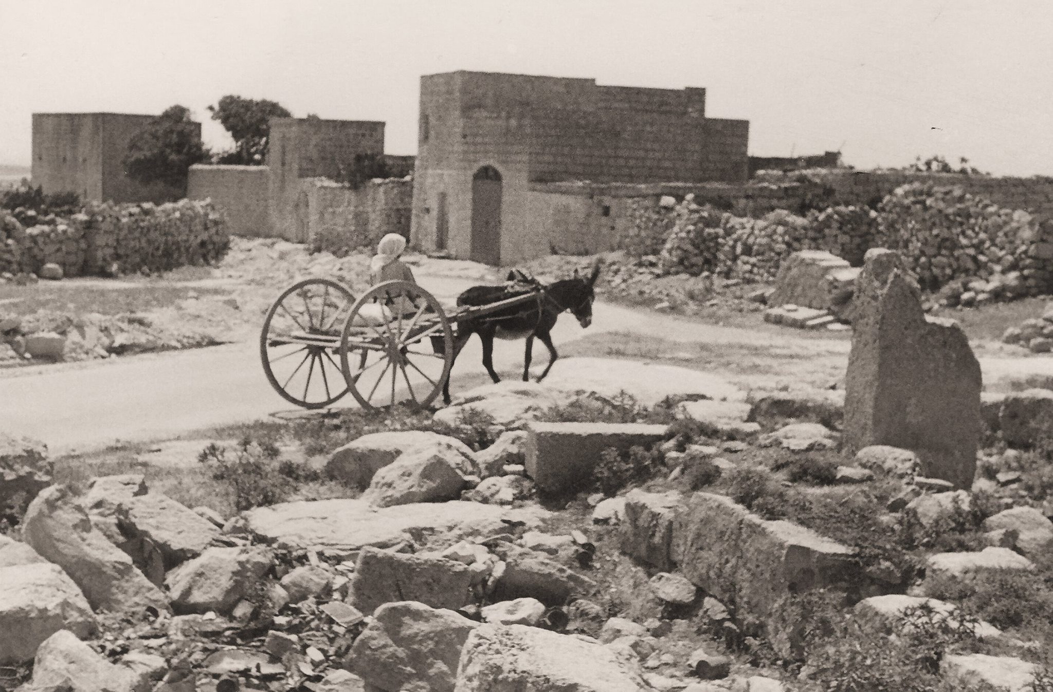 Archival photograph — description pending review