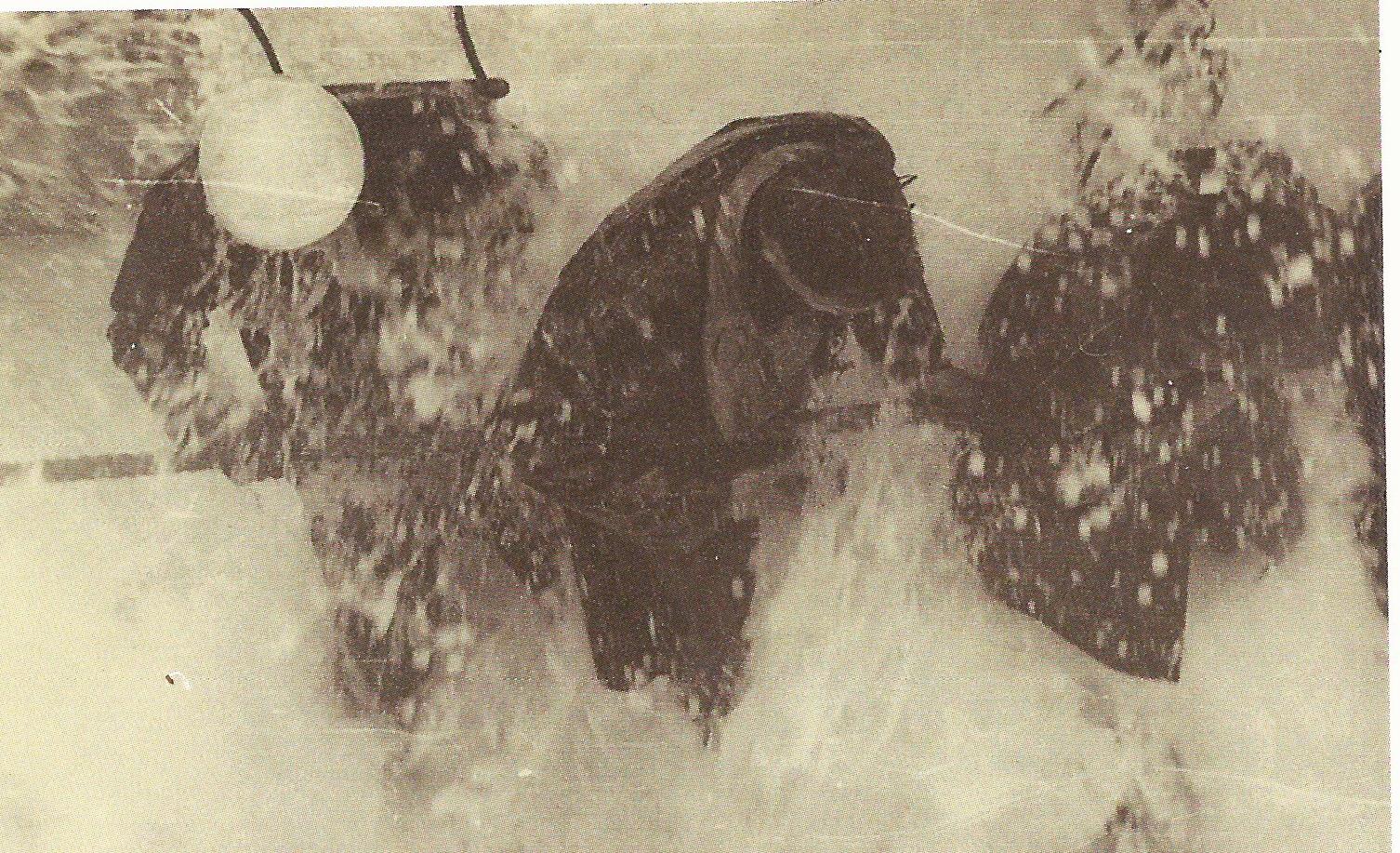 Archival photograph — description pending review
